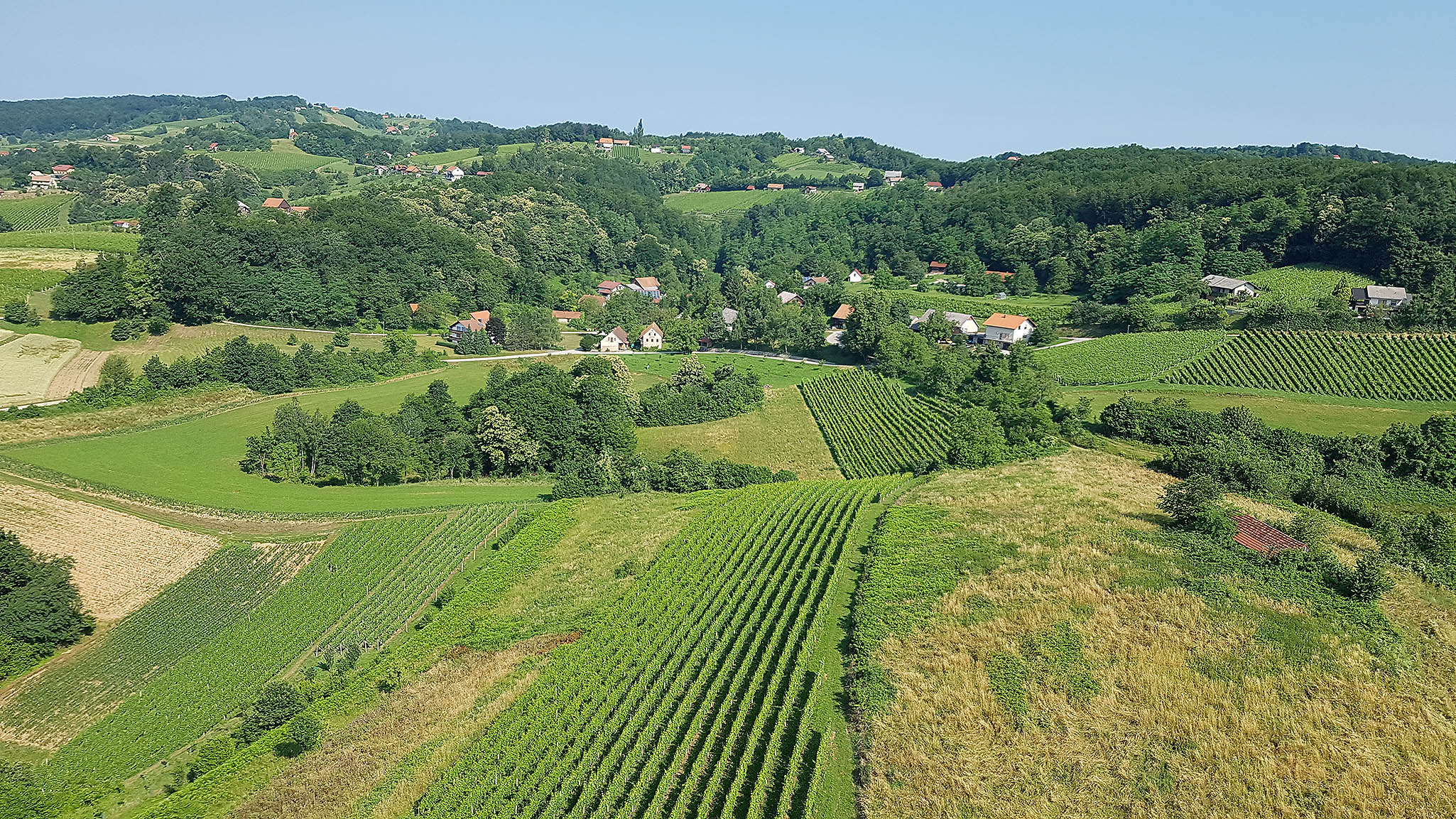 Krajevna skupnost Leskovec pri Krškem