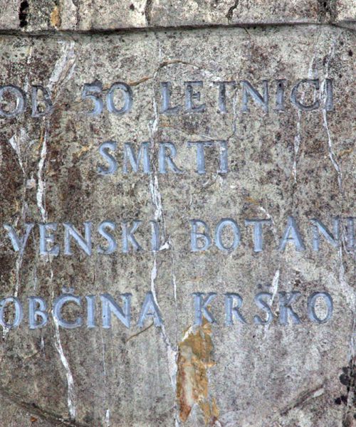 kamen-botanika-pavlina-1A19FFE46-02D6-27BB-001B-03B2141D0785.jpg